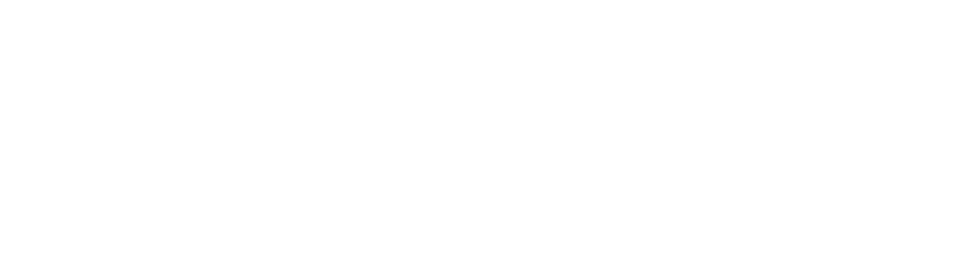 Executive Swift Travel Logo